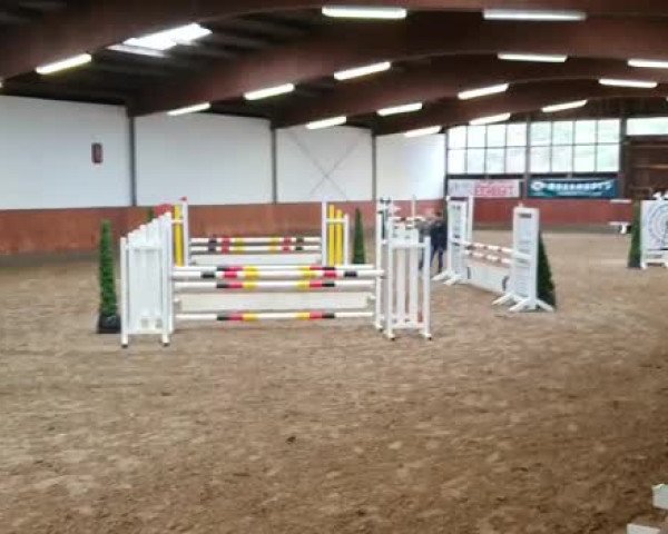 Video of Quicksilwa
