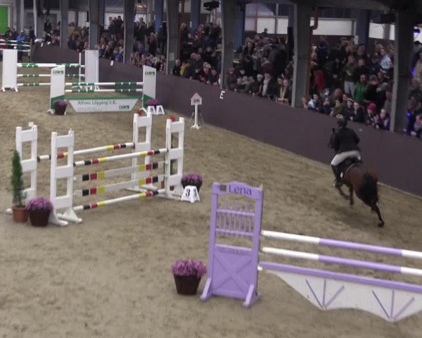 Video di bartez