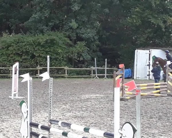 Reitturnier Wickede-Wiehagen 2019