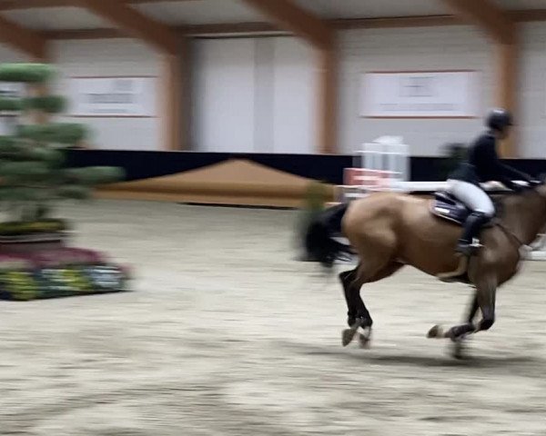 Video of Lloyd W