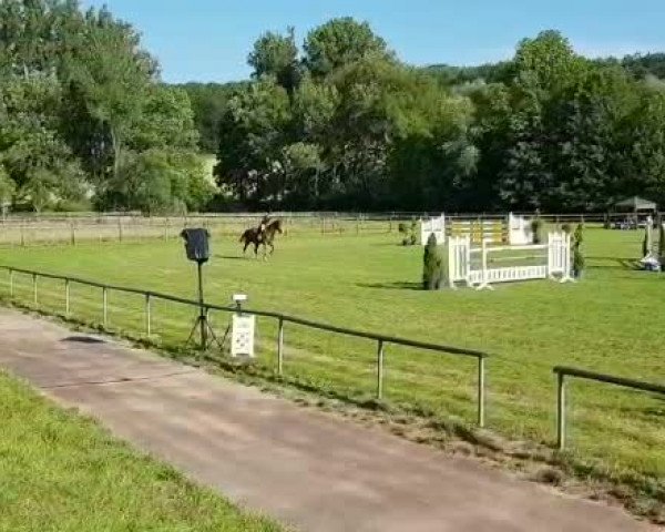 Video von Alice Kf