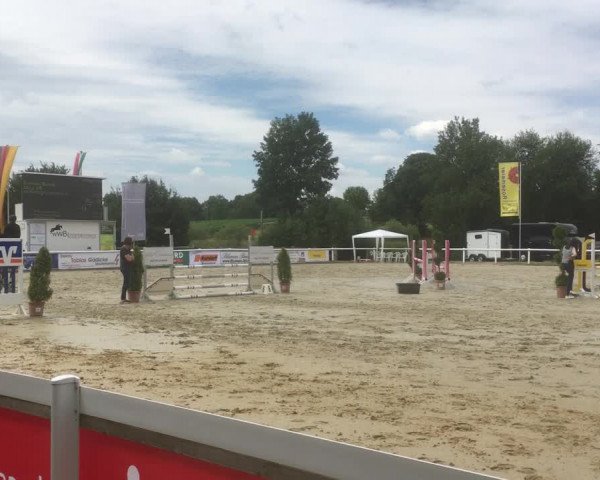 Video von Alice Kf