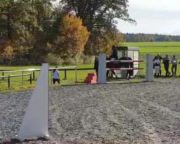 Video of Connor Deluxe H