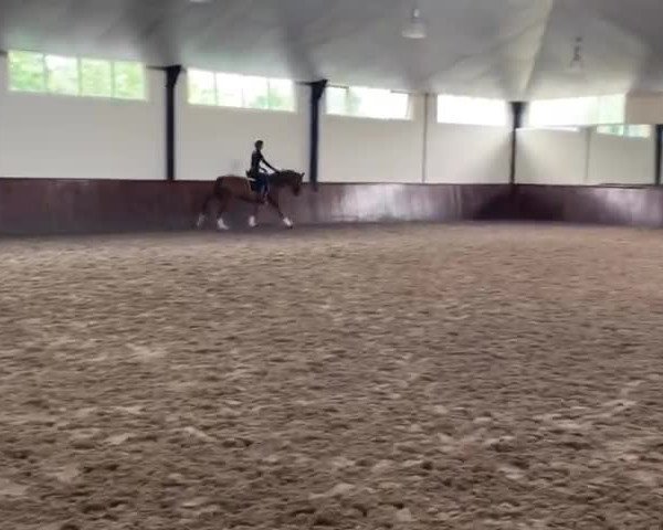 Video of Sky S
