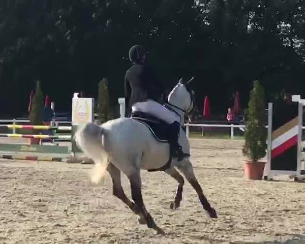 Video of Dejavu 31