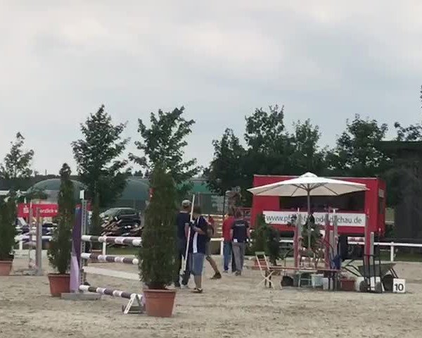 Video of Dejavu 31