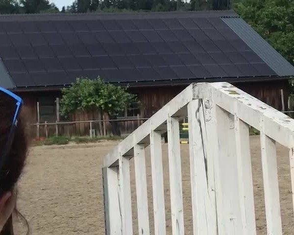 Video of Dejavu 31