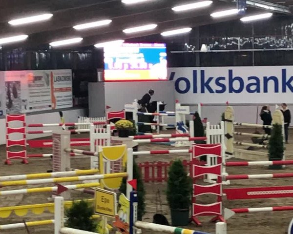 Reitturnier Gronau-Epe 2019