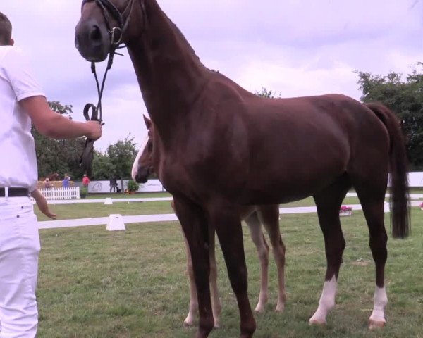 Video of Quintilia L