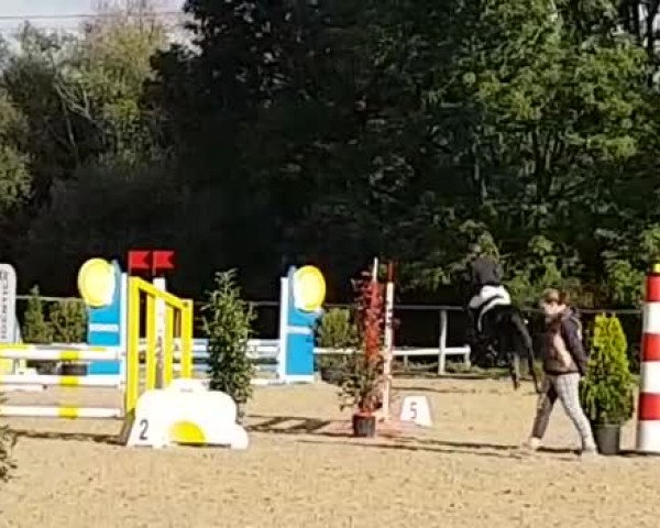 Reitturnier Ludwigsburg-Monrepos 2019