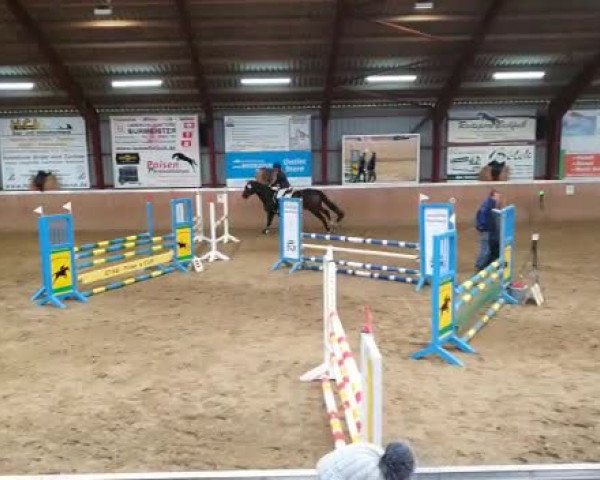 Reitturnier Behrendorf 2019