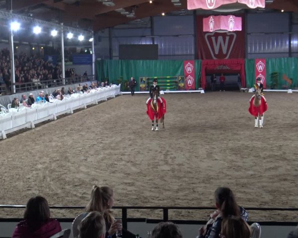 Video af Chicke Deern