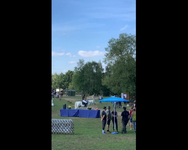Reitturnier Schwandorf-Büchelkühn/Opf. 2019