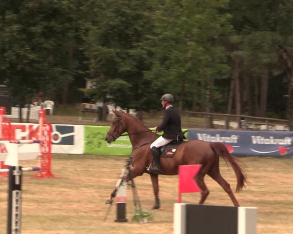 Reitturnier Lohberg 2019