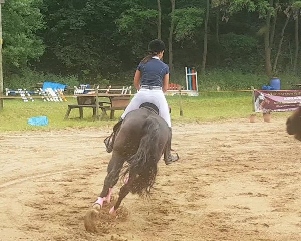 Video von Contandra S