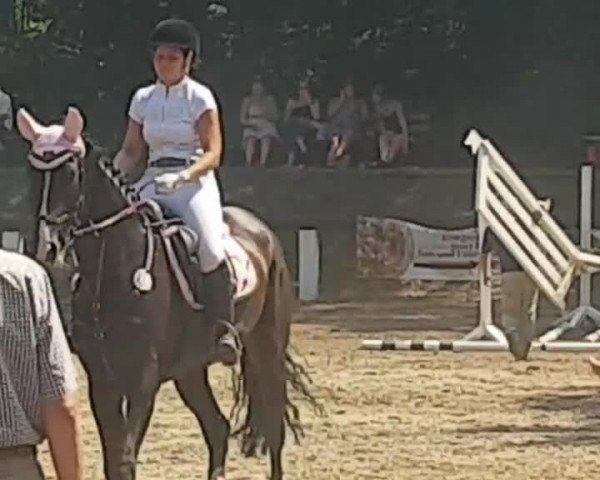 Video von Contandra S