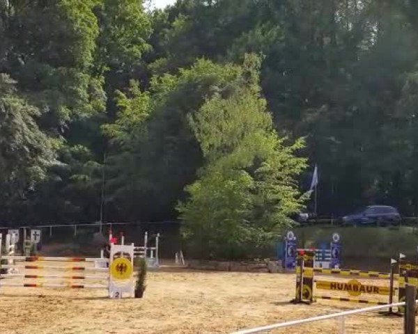 Video of Caspita 2