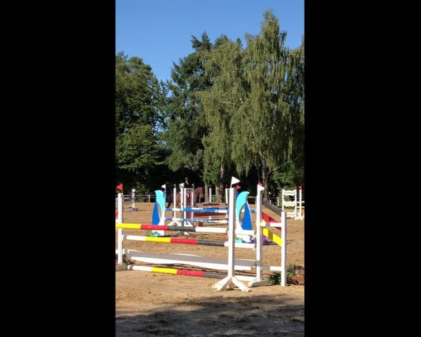 Reitturnier Bad Camberg 2019