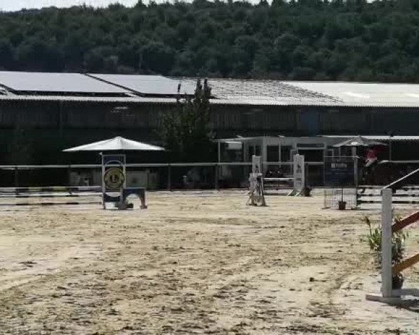 Reitturnier Arnsberg-Müschede 2019
