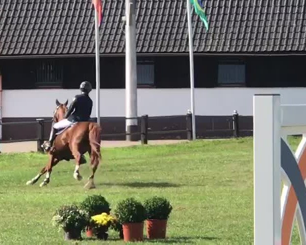 Video of Open End 2