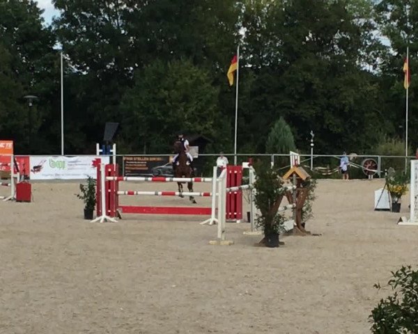 Reitturnier Heuchlingen 2018