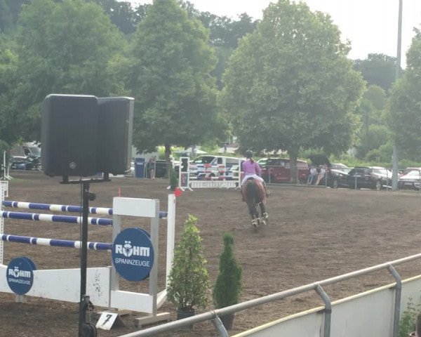Reitturnier Heidenheim 2018
