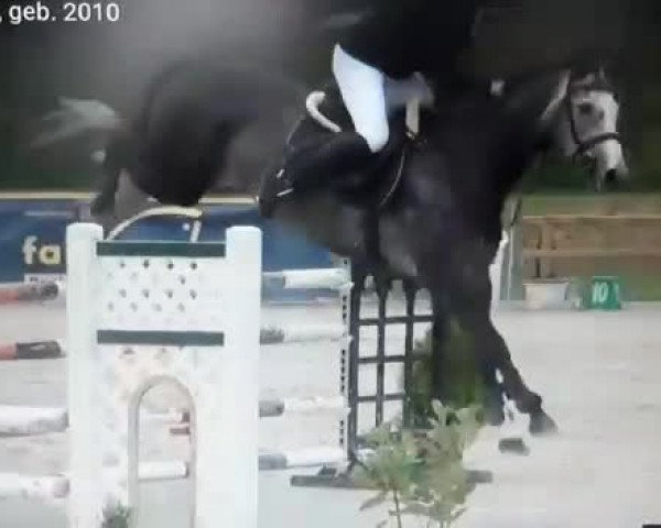 Reitturnier Schülp / Rendsburg 2017