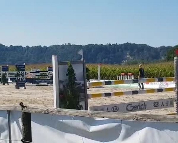 Reitturnier Marktl/Inn/Obb. 2019