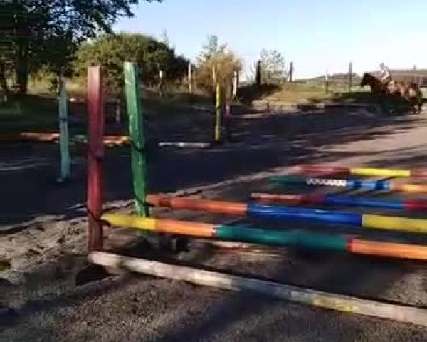 Video of Electra SL