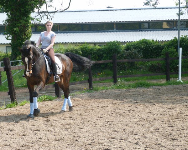 dressage horse Carpe Diem 23 (Holsteiner, 1998, from Coriander)
