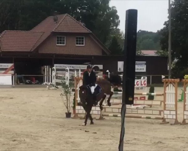 Reitturnier Haselünne 2019