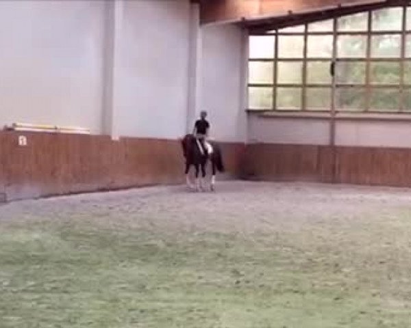 Video of My Lady
