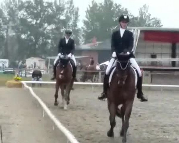Reitturnier Ladbergen 2019