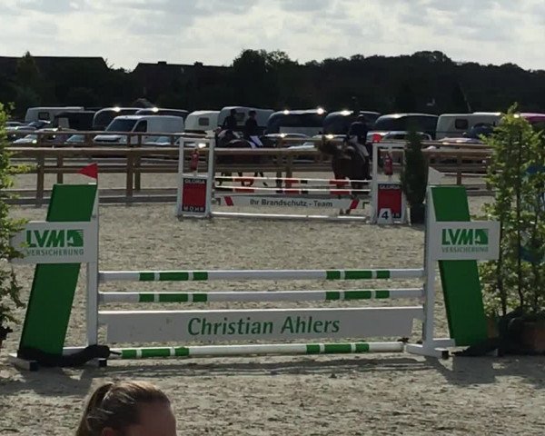 Reitturnier Münster-Amelsbüren 2019