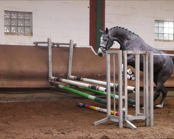 Video of Coleona