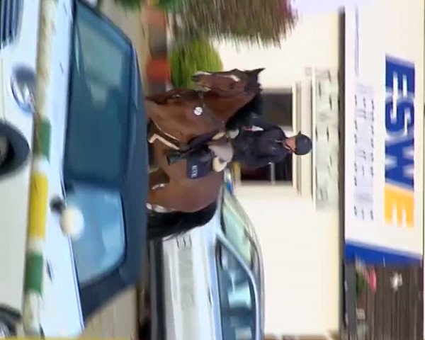 Reitturnier Wiesbaden-Kloppenheim 2019