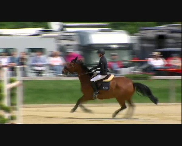 Reitturnier Detter 2019