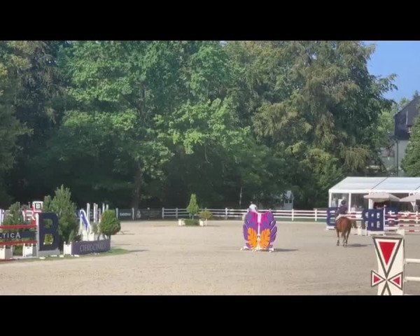 Video von Confidence 9