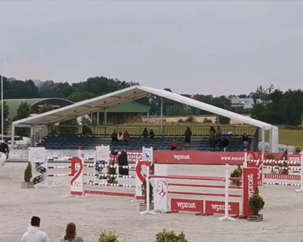 FEI Reitturnier Wilków, Jakubowice (POL) 2019