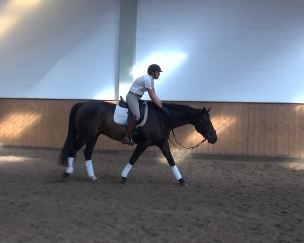 Video von Vincent Vegas