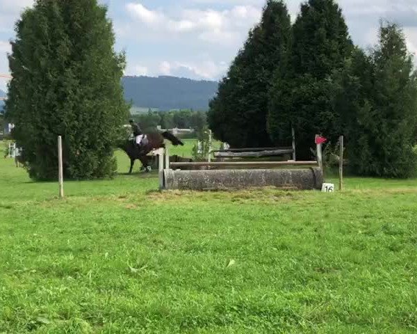 Video von Salvador IX