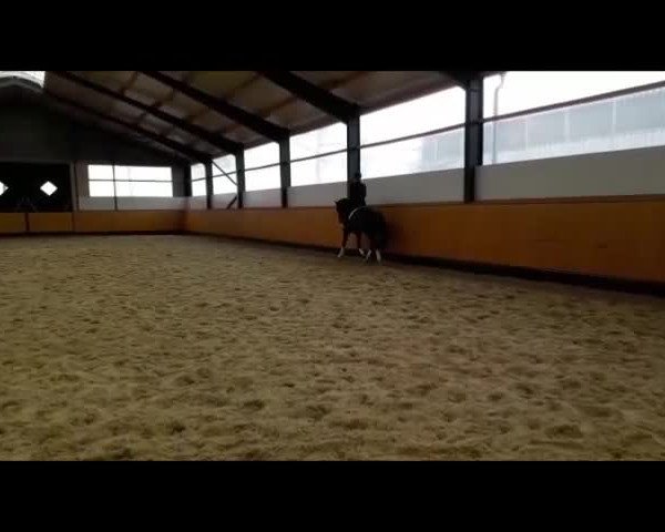 Video of Kracker Jack C