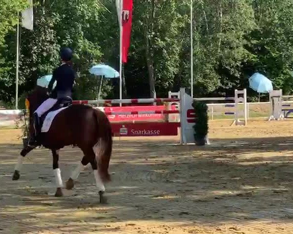 Video of Diego Diaz AT