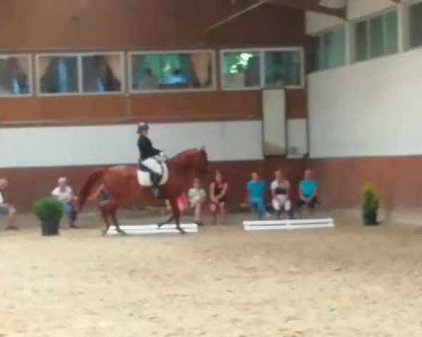 Video of Buderus