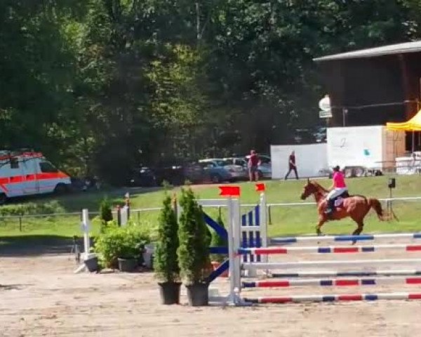 Video of Buderus