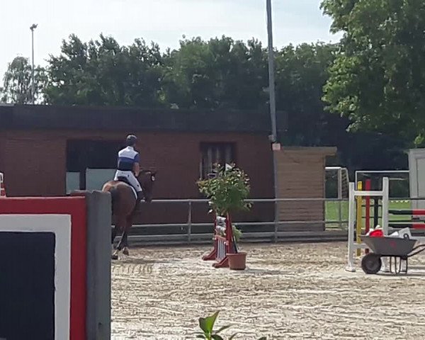 Reitturnier Bösensell 2019