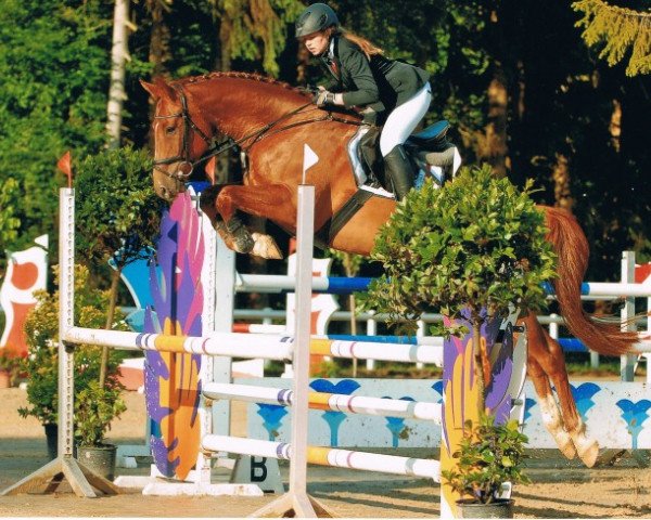 jumper Prince of Persia (Oldenburg, 2009, from Perigueux)