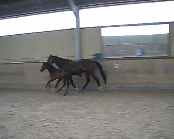 Video von Deamy