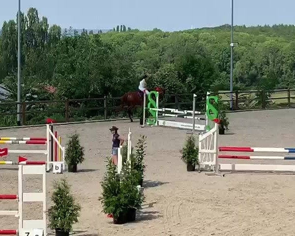 Video of Buderus