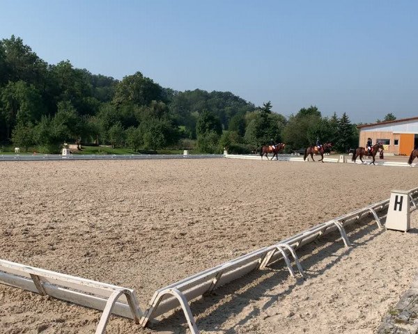 Landesponyturnier Ansbach 2019